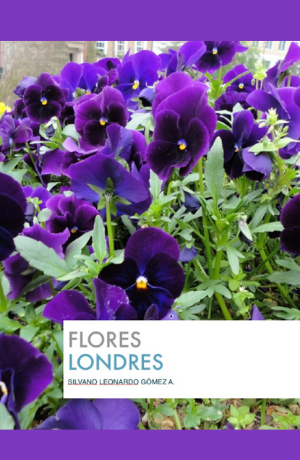 Flores Londres